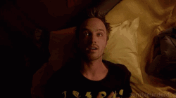 Jesse Pinkman Breaking Bad High GIF