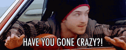 Jesse Pinkman Have You Gone Crazy GIF
