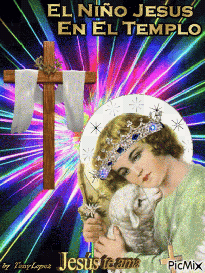 Jesus Holding Lamb El Niño Jesús En El Templo GIF