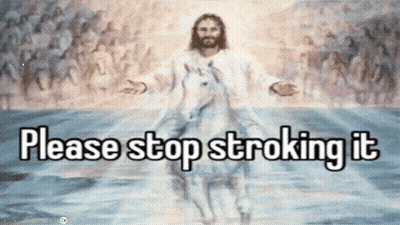 Jesus Riding Unicorn Please Stop Stroking It GIF