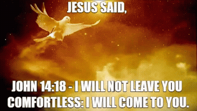 Jesus Said That He Will Not Leave You Comfortless GIF