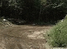 Jew Riding Motorcycle GIF