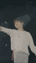 Jhope Waving To Fans GIF