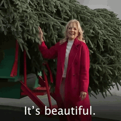 Jill Biden It's Beautiful GIF
