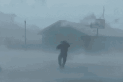 Jim Cantore Florida Storm GIF