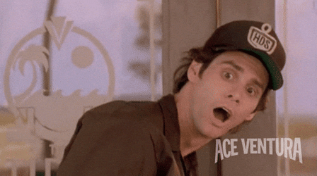 Jim Carrey Ace Ventura Duhhh GIF