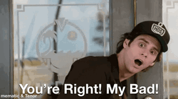 Jim Carrey You're Right My Bad GIF