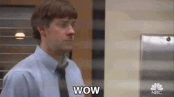 Jim Halpert The Office Sarcastic Wow GIF