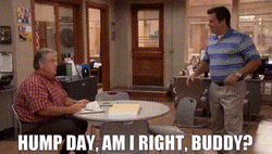 Jim O'Heir Wondering If Today Is Hump Day  GIF