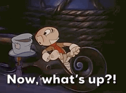 Jimmy Cricket Now What's Up GIF