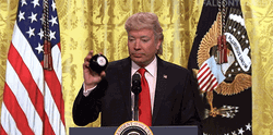 Jimmy Fallon As Trump Fake News GIF
