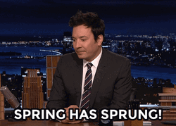 Jimmy Fallon Happy Spring GIF