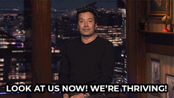 Jimmy Fallon Straight Face Reaction GIF