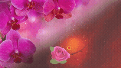Jimmy Saying Good Morning GIF