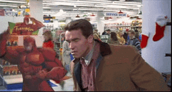 Jingle All The Way Arnold Schwarzenegger Got Hit GIF