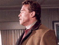 Jingle All The Way Arnold Schwarzenegger Shocked Reaction GIF