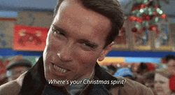 Jingle All The Way Arnold Schwarzengger GIF