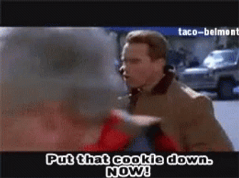 Jingle All The Way GIF