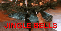 Jingle All The Way With 3 Cats GIF