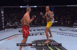 Jiri Prochazka Knocking Down GIF