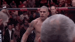 Jiri Prochazka Shake Hands With Alex Pereira GIF