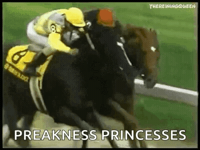 Jockey Riding Horse In Preakness Race GIF