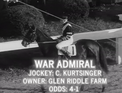 Jockey Riding Horse Number 1 GIF