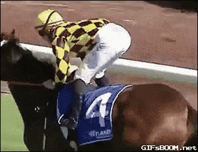 Jockey Riding Horse Number 4 GIF