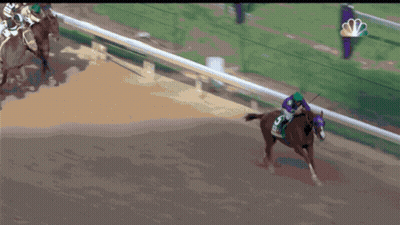Jockey Riding Horse Number 5 GIF