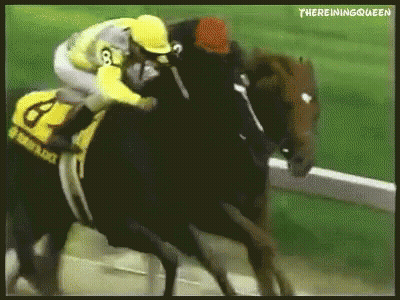 Jockey Riding Horse Number 8 GIF
