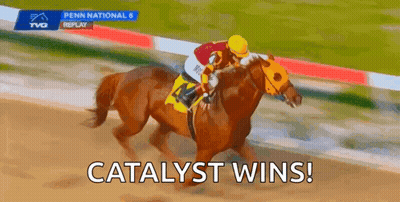 Jockey Riding Winning Race Horse GIF