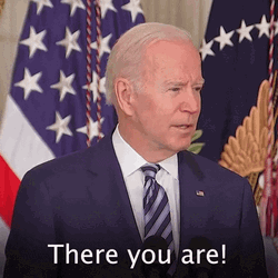 Joe Biden Looking For Something GIF