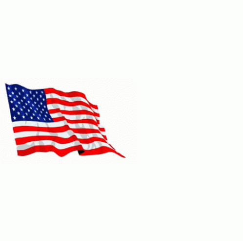 Joe Biden Poster With American Flag And Fist GIF