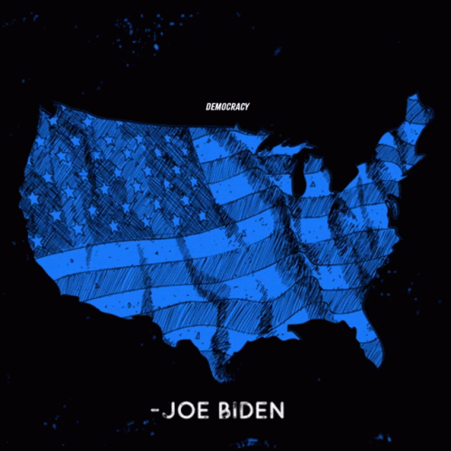Joe Biden Quote Democracy Must Not Be A Partisan Issue It Must Be An American Issue GIF