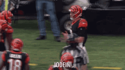 Joe Burrow Aye GIF