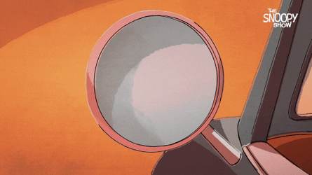 Joe Cool Mirror Reflection GIF