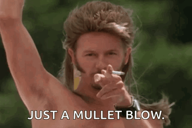 Joe Dirt Just A Mullet Blow GIF