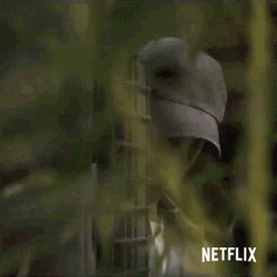 Joe Goldberg Hiding Watching From Afar GIF