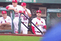 Joe Kelly Humping GIF