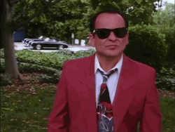 Joe Pesci What The F GIF