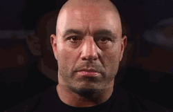 Joe Rogan And Dana White GIF