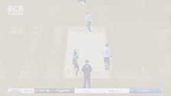Joe Root Cover Drive Cricket GIF