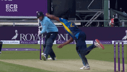 Joe Root Cricket Batting Hit GIF