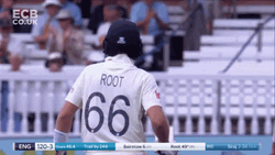 Joe Root Crowd Cheering GIF
