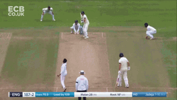 Joe Root England India Match GIF