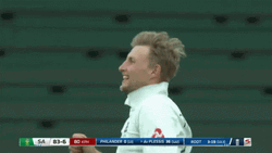 Joe Root Run Jump Celebration GIF