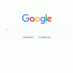 Joe Search Google Or Type A Url Meme GIF