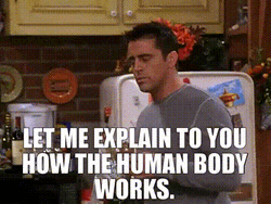 Joey Explaining Human Body Work Friends GIF