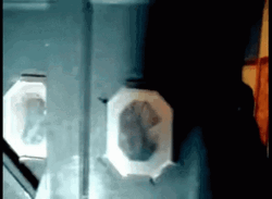 Joey Jordison In The Elevator GIF