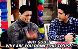 Joey Tribbiani Asking Whyyy GIF